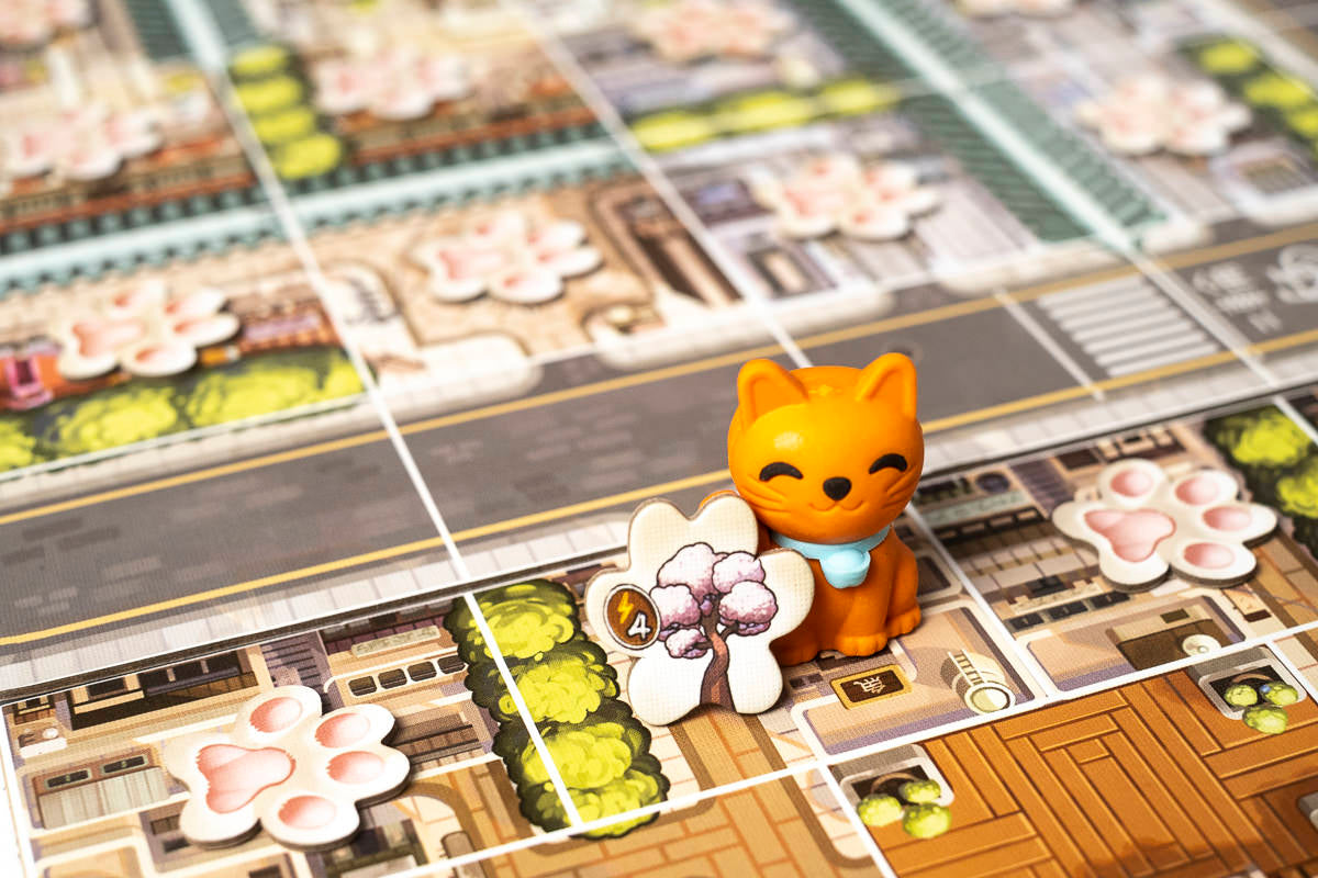 Kyoto No Neko