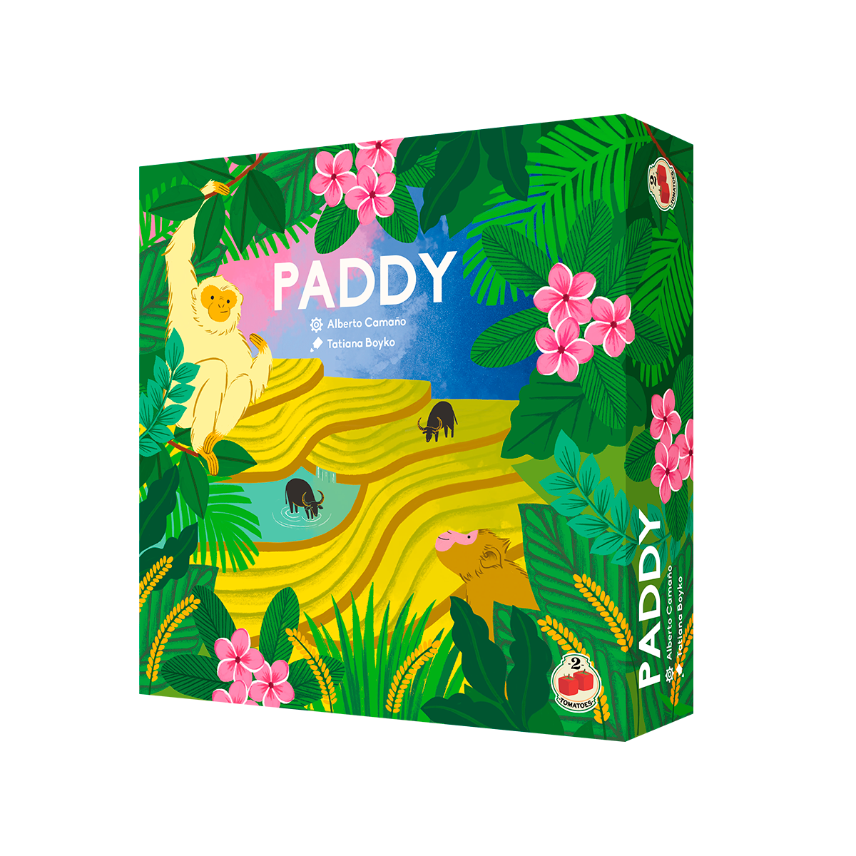 Paddy